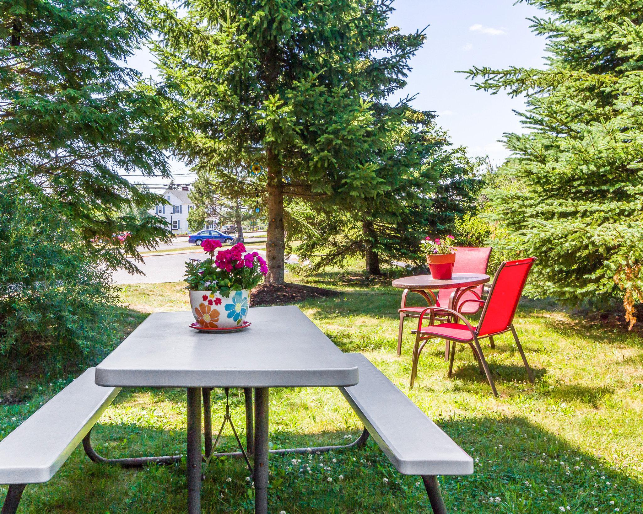 Comfort Inn Ellsworth - Bar Harbor Εξωτερικό φωτογραφία