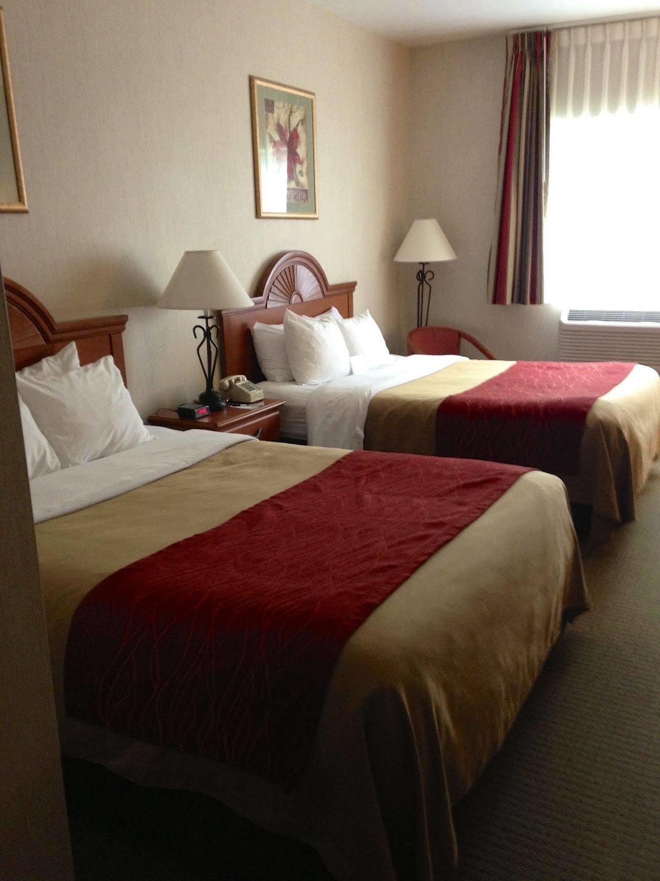 Comfort Inn Ellsworth - Bar Harbor Εξωτερικό φωτογραφία